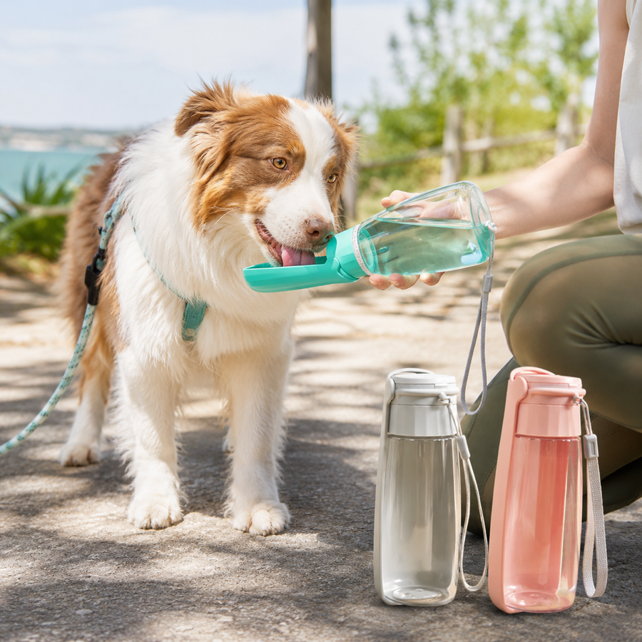 IceTail HydroWalk — dog drinking from tray on walk