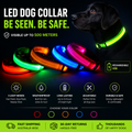 IceTail GlowWalk — LED Safety Dog Collar