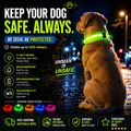 IceTail GlowWalk — LED Safety Dog Collar