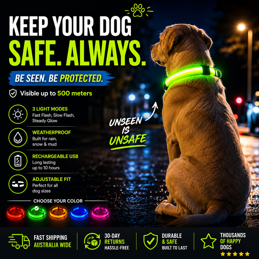 IceTail GlowWalk — LED Safety Dog Collar