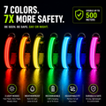 IceTail GlowWalk — LED Safety Dog Collar