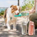 IceTail HydroWalk — dog drinking from tray on walk