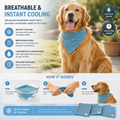 IceTail CoolNeck — dog wearing blue cooling bandana