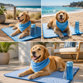 IceTail Summer Pack — 3 lifestyle angles beach and terrace
