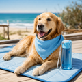 IceTail Summer Pack — Golden Retriever on cooling mat with bandana and water bottle